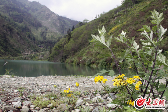 �c(di��n)���g�[��һ��