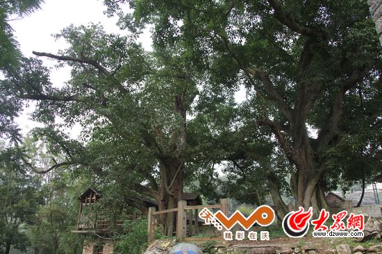 �c���g�[��һ��