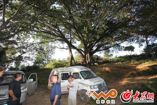 �c���g�[��һ��