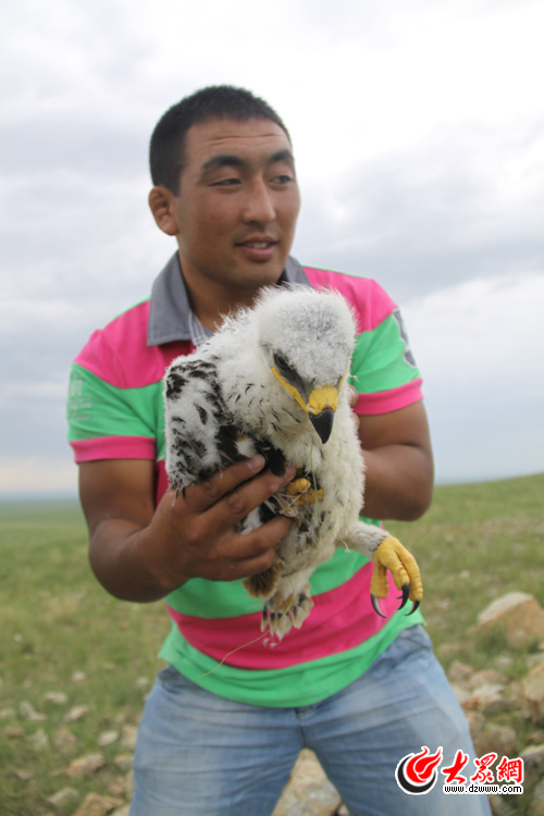 �c(di��n)���g�[��һ��