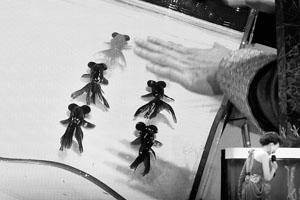 ���~������������ǡ�ͨ��늡�