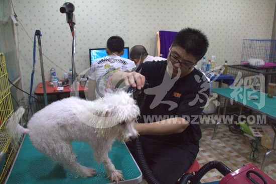 ��?y��n)鴵�L(f��ng)�C(j��)���кܴ�������ڞ錙�ﴵ�ɵĕr�򣬌������������Ҋ��(x��)ӛ�� ���� �z