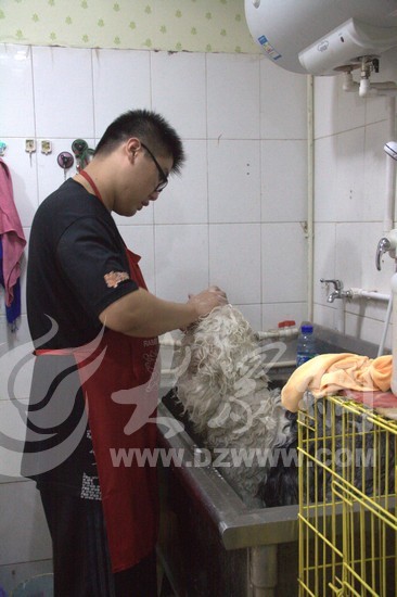 �ﳿ�ڞ�һֻ����Ȯϴ����Ҋ��(x��)ӛ�� ���� �z