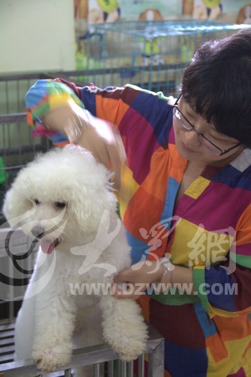 ӛ���ڞ�һֻ����Ȯ����ë�l(f��)��