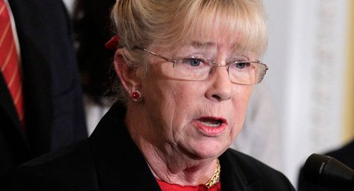 �����h�T��ʾ�����������桱�Ƅ�(d��ng)��֧��������