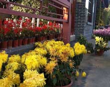 �W(w��ng)���哌�ջ���(sh��)��ٛ������ ���y(t��ng)�����m(x��)����