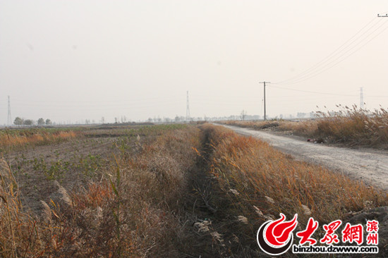 �(y��ng)��"����ӛ":��·�����ˮ�� �ͷ���׃��������