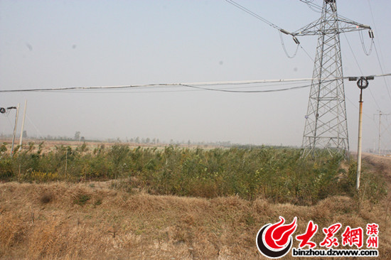 �(y��ng)��"����ӛ":��·�����ˮ�� �ͷ���׃��������