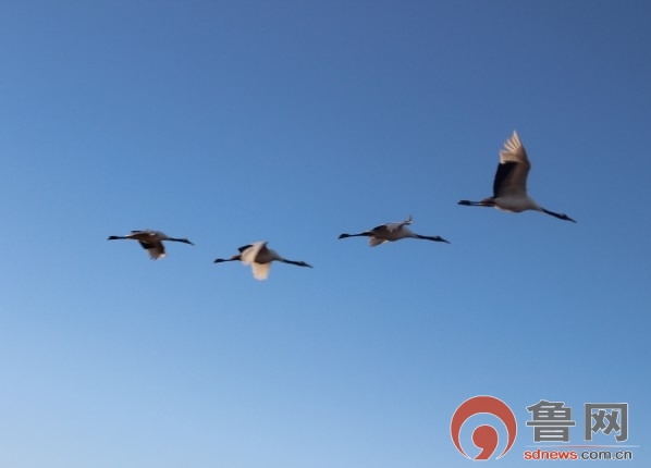 �c(di��n)���鿴��һ�