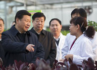 �r(n��ng)�I(y��)�l(f��)չ �ӿ��D(zhu��n)׃