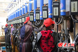 4 �y�ゥ�I(y��)��ţ������_(d��)���f(w��n)�^�����֮һ������մ�������I(y��)����.jpg