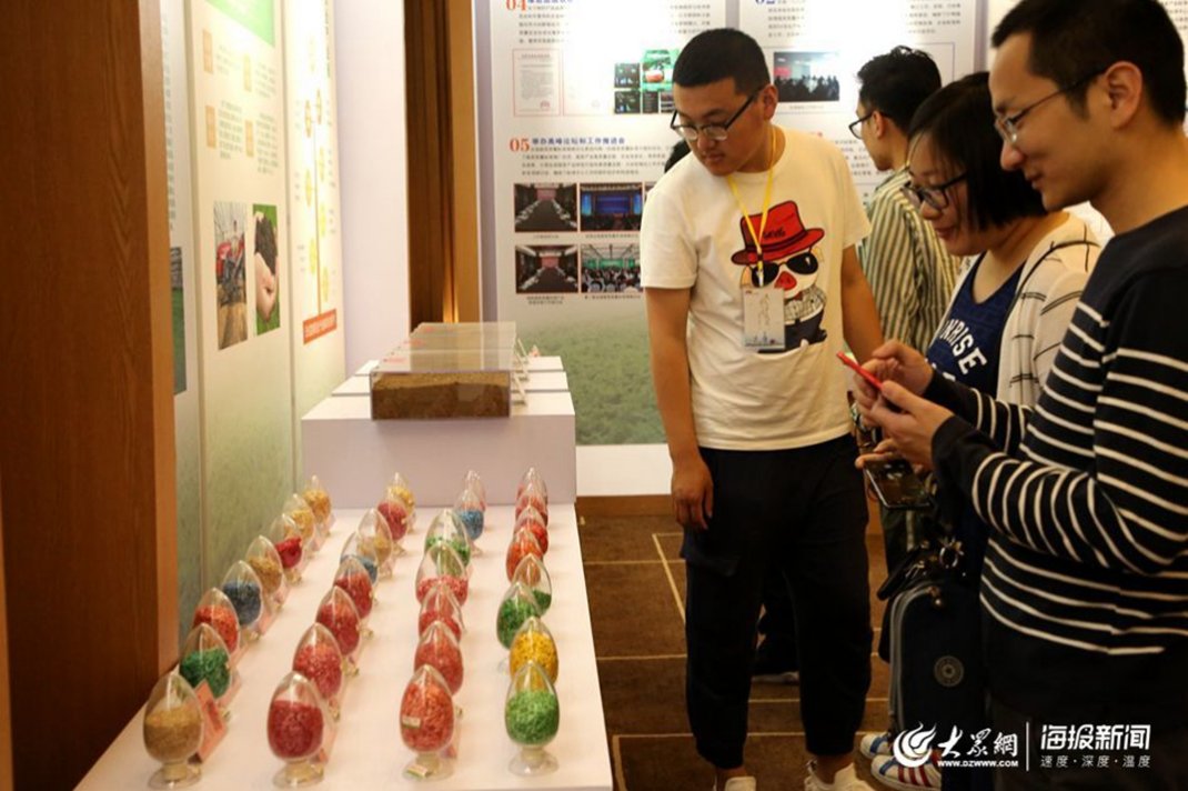 �۹�����߲��|(zh��)���˜����ă�(n��i)չʾ���߲˷N��