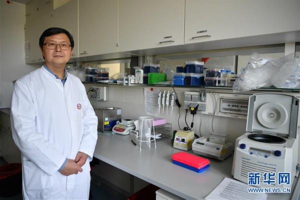 ����(gu��)�H���顤�D�Ļ���(d��ng)����1�����L����(gu��)�F(xi��n)�A�η��ش�ʩ���w��Ч�����L��(gu��)����˹������ɭ��W(xu��)�����о���������ɼ�