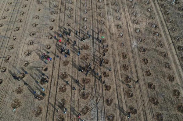 ��3��12����־Ը���ںӱ�ʡ�ȷ��д�S�������οh�۸��(zh��n)���m�V��ֲ�䣨�o�˙C��Ƭ�������A��l(f��)������ �z��