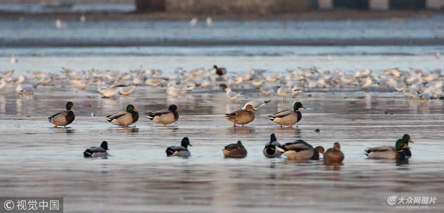 2017��12��25��������Ұ�����t��ˮ�B�����u�z�ݞ����������Ғʳ��