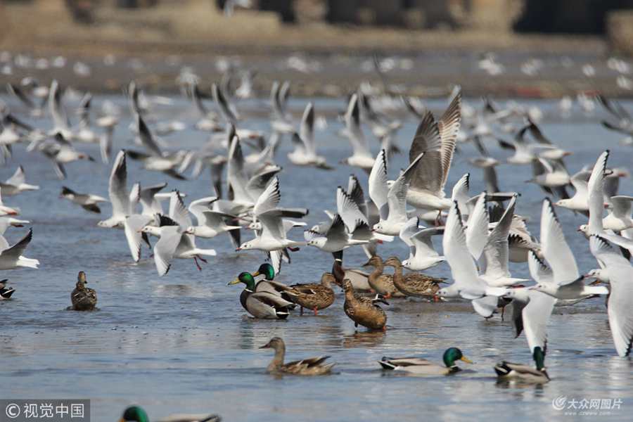 3��5�������u����(d��ng)�����r(n��ng)�v��ʮ�Ĺ�(ji��)����@�U���r���_�����~Ѵ����ǧ���fֻ�t���t����β�t���G�^����Խ��ˮ�B�輯�z�ݞ����������ץ�~�����M��������ζ���r��ͣ����ȇ}�ɐ�֮�O���ɞ�һ����(y��u)�������B(t��i)�L(f��ng)������