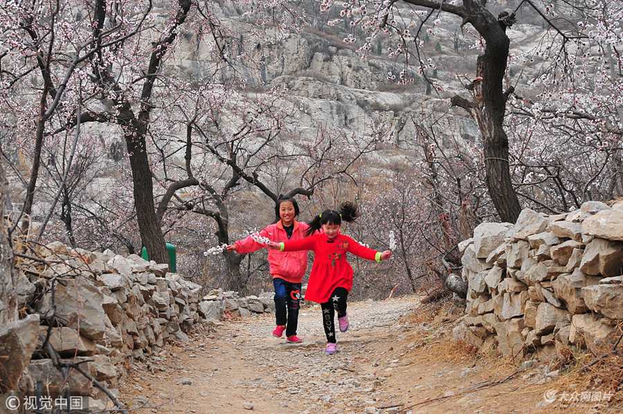 2018��3��17����ɽ�|��(j��)��������ɽ�h��ɽɽ���ӻ��������а������Ϙ��g���ӻ�ʢ�_���٬F(xi��n)ɽ���ӻ�ʢ�_�������ο����B������