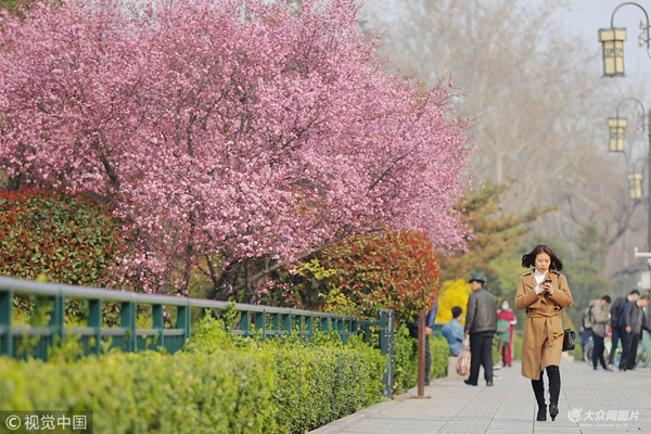 2018��3��22����ɽ�|��(j��)�ϸ����^(q��)�ѻ����һ����ӻ���(zh��ng)���_(k��i)�ţ��������\���������ˣ����˼����������������B������