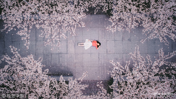 2018��3��25�������������ęѻ�ͬ�����������Ͻ̌W�����e��һ���Lζ��