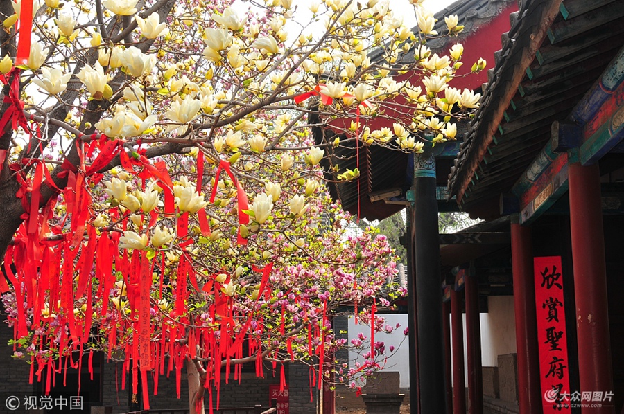 2018��3��29�գ�ɽ�|��(j��)�����ϸ����_��ɫ�箋��