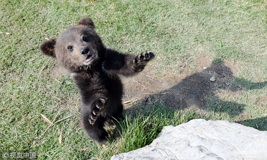 4��24�գ�ɽ�|�ĳ����ĳ���