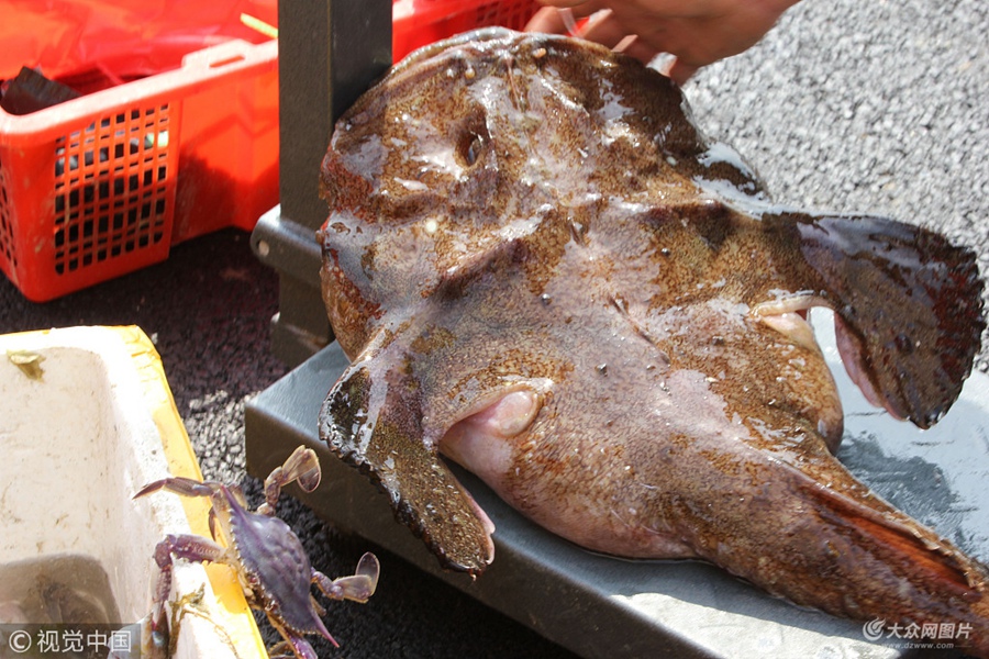 2018��4��25�������������uС�۝O�a�^��ُ���r��5��1���ݝO�ڌ������������rԽ��Խ���������񼊼��������u���O�۴a�^��ُ��