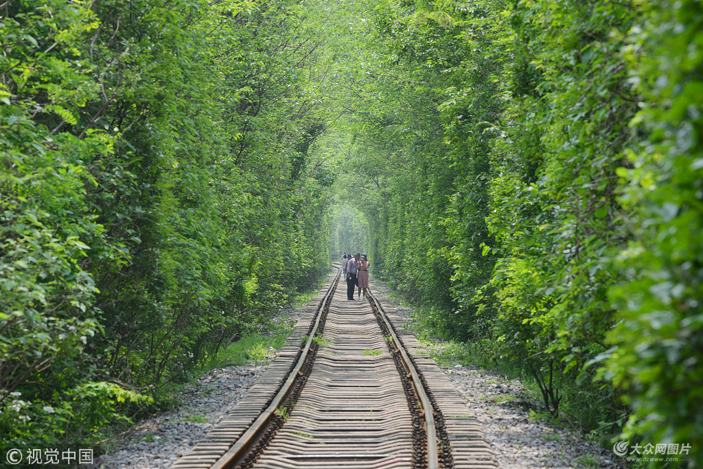 2018��4��27����λ���Ͼ��н����^(q��)�Đ�(��i)�������܇�֦���~ï���G���͵�֦�~�γ�һ���o(w��)�M�Ĺ��T����M��Ԋ(sh��)�鮋�⣬���������ο�Ľ��ǰȥ������