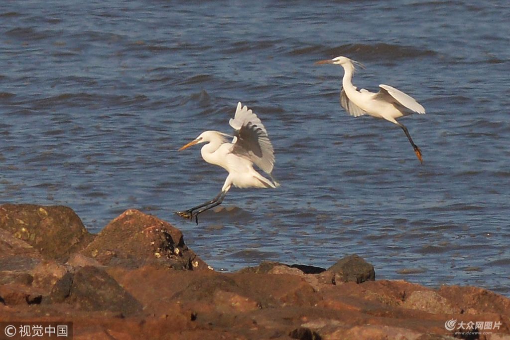 2018��5��3������ֻ�lΣ��ϡ�B��S��������F(xi��n)�����u�غ����Ғʳ�������Bۺ��ߵ��P(gu��n)ע��