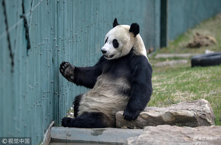 2018��5��5������ꖡ�3���ĕr�g�����˂�һֱҕ���顰����������Äӡ��Ɖ����������Q���顰���wŮ������Ȼ���S������u�L���������挍�Ԅe�l(f��)�������D(zhu��n)��