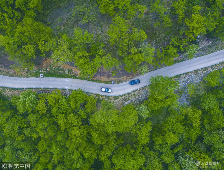 2018��5��12����2018Ԋ(sh��)����ɽ�׌���ɽ���{���μ����A����(d��ng)�xʽ��ɽ�|�Rʏ�_(k��i)Ļ����(l��i)��ʡ��(n��i)���ص��ϰ��v���{܇����Խ�������۵�ɽ·����(ch��ng)���𺳉��^��