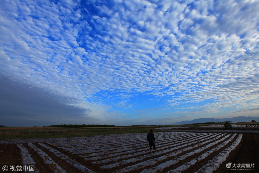 2018��5��21����ɽ�|�R������ƽ�ؿh���´���ճ��F(xi��n)���~�[�ơ����^���峿��ɽ�|ʡ�R����ƽ�ؿh���´��Ͽճ��F(xi��n)�~�[�ƾ��^������Ʋ����{(l��n)�����Ұ��ӳ�r�£�����������