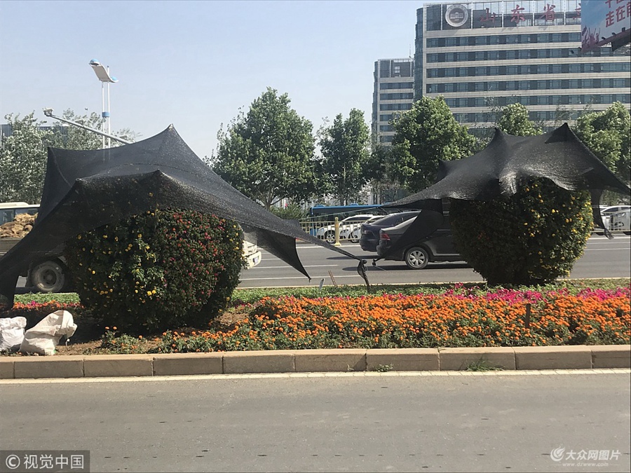 2018��6��5�գ���(j��)��ӭ��38�ȵĸߜ���������˱���ߜر�������(j��ng)ʮ·߅��ֲ��Ҳ��������ꖂ㡣