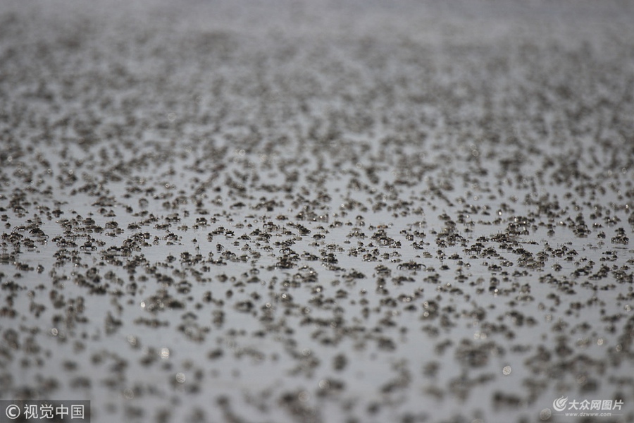 2018��7��16�������u������С�з�����z�ݞ���ͿҒʳ��