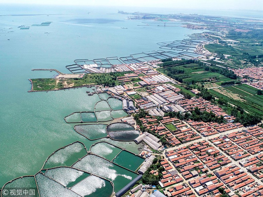 9��4�գ�����r(sh��)��(ji��)�����u�������^(q��)ꐼ�ؕ����ˮ�B(y��ng)ֳ����(ji��n)ֱ�����������o�ĝO��һƬ�t�߾G��(sh��)�����ĳʾGɫ�͜\�{(l��n)ɫ�ĺ�ˮ���ѵľGɫ��Ұ������򷭵ġ��ϵ۵��{(di��o)ɫ�P(p��n)������ʰߔ����������ա�