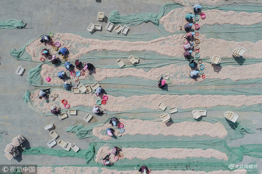 2018��9��5����ɽ�|�I�����������؅^(q��)���ĺ��a(ch��n)Ʒ��؛���l(f��)�Ј����ڵ��T���(zh��n)����?sh��)ش������ڞ�֒����N��؛æµ���������@���ИI(y��)�Ĵ󶼞����������؋DŮ�������㲻����Ҳ�ܒ굽��s60Ԫ���ҵİ���н��