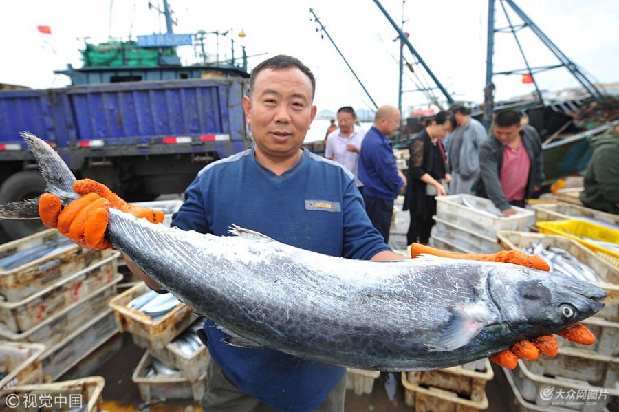 2018��9��28�գ��O�������u�Ѝ�ɽ�^(q��)���ĝO��չʾ15���ش����~��