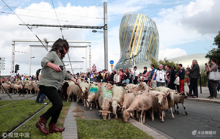 ��(d��ng)?sh��)ؕr(sh��)�g2018��10��6�գ�������������һǧ�^�򴩳Ƕ��^��