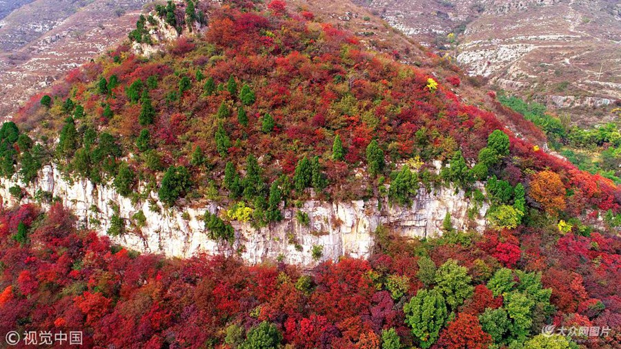 2018��10��14�գ�ɽ�|ʡ�H�������ЏR���(zh��n)����������ɽ���ϼt�~�ƻ𣨟o(w��)�˙C(j��)�Ĕz����