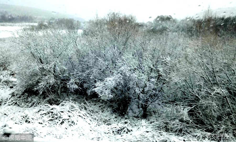 2018��10��15�����������ںӽ��½��׈�ѩ��