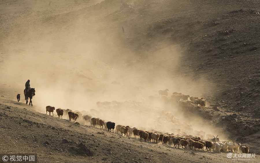 2018��10��14�����½������h���_���������s��ţ���������Rƥ����ɽԽ�ӡ���Խ��������ļ������w���＾������