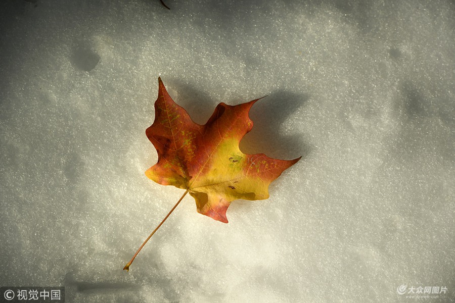 ��(d��ng)?sh��)ؕr�g2018��10��15�����������_�����ݣ���(d��ng)?sh��)�ӭ��һ���＾���L(f��ng)ѩ������ľ���~������՚��Ѹ��׃�t��