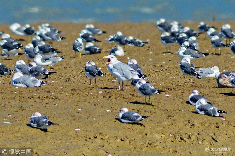 2018��10��17�գ����u�z�ݞ��ذ����������β�t���y�t���t���t���t�B(ni��o)�y����Ⱥ���B(ni��o)��m(x��)���wԽ��������(sh��)���������ӡ�