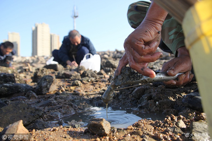 2018��10��17�������������u�z�ݞ��g���I������r����