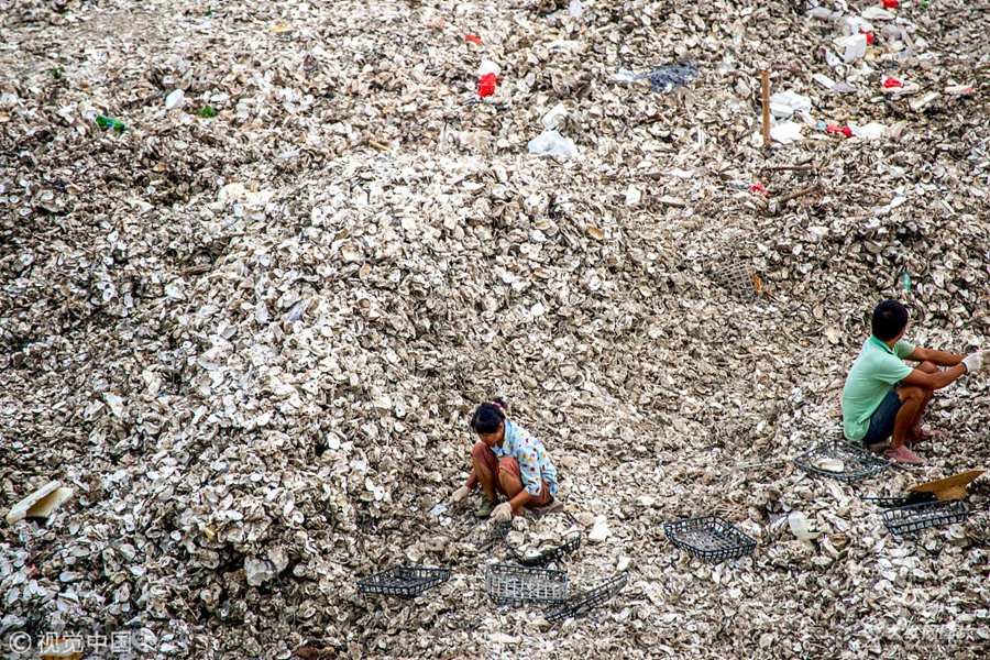 2018��10��16���������V�|���ݣ��ݖ|�h�Fӿ�(zh��n)�శ��Ŀ������ذ�һƬæµ������������һ���ź��׵������������(sh��)��λ�����ý��ٹ������_ϖ���֒�ϖ�⣬������(d��ng)��(d��ng)�ò����[��