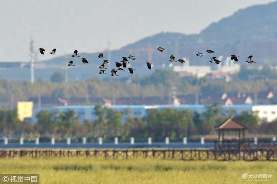 2018��10��23���������u�z�ݞ���������ڝ�أ��½��w�����P�^���u��Ѳ��Ғʳ��