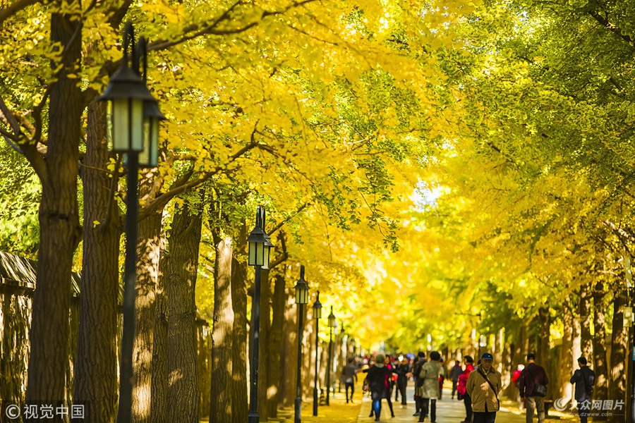 2018��10��23����������˪����(ji��)�����A���@��ɫ�������Ʋ��Q���������箋�������ο�ǰ���^�p��