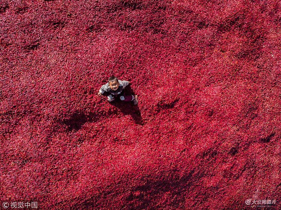 2018��10��26�գ�ɽ�|���������l(xi��ng)�h�����(zh��n)�R·���Ե�̎�������Ľ����c���@��������ɽ���хR�۳�һƬ�tɫ�ĺ�����