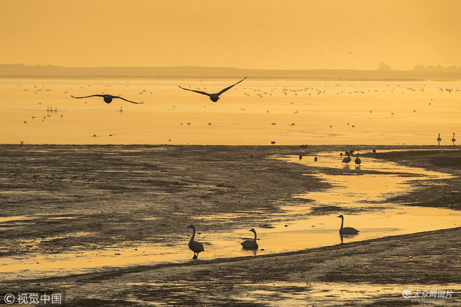 2018��12��10�գ�ɽ�|�������s�������Z���ϬF(xi��n)�ճ��k���������^�����Zѩ�бM������ů���