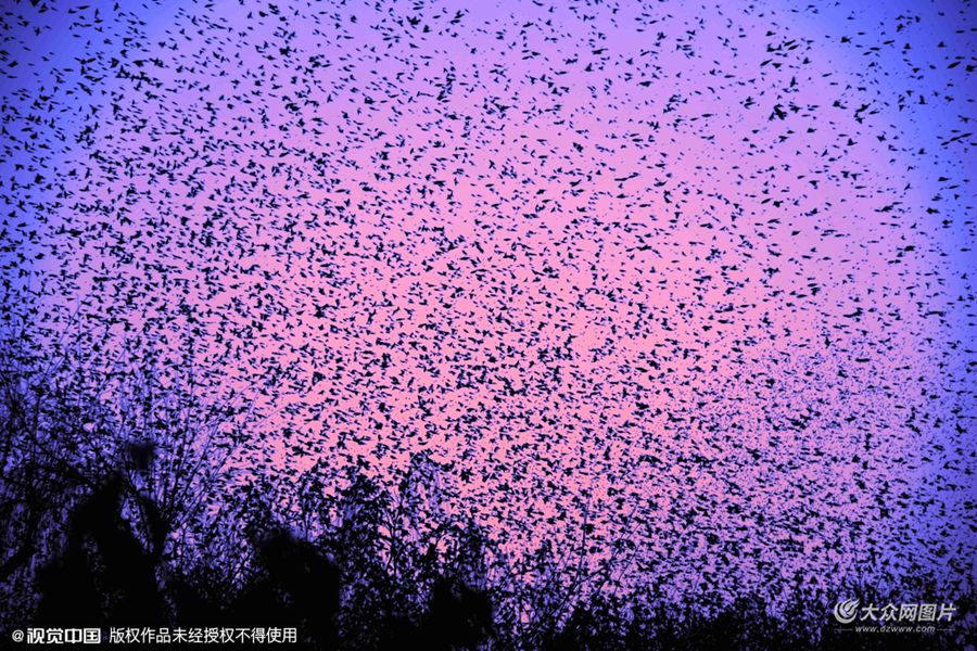 2016��02��02����ɽ�|ʡ������������ͻȪ���^(q��)�Ͽ�����(sh��)�fֻ���N�B�������бP�������ߖ|�L(f��ng)/ҕ�X�Ї���