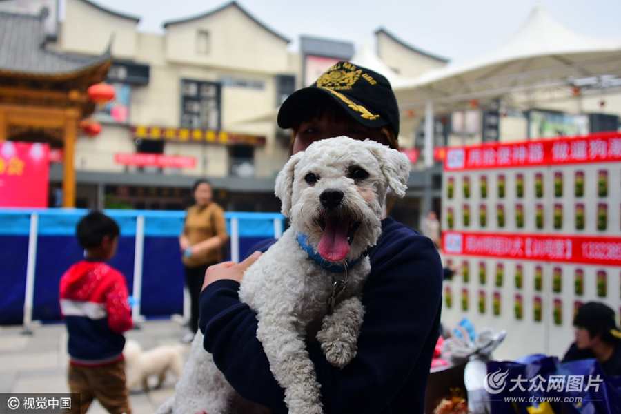 2017��4��15����������ĳ�̘I(y��)�e�k�������B(y��ng)Ȯ�����������һֻһ�q���cһֻ����Silence��С����Ȯ��ֻҪ����һ�Ӗ|��׌��һ��Ȼ����������������ҵ����ʴ_�ʰٷ�֮�٣�׌�F(xi��n)��������_�۽���